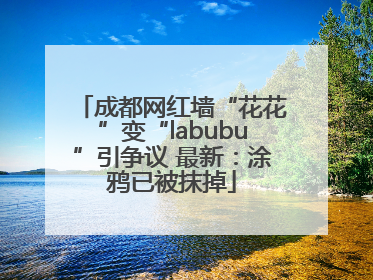 成都网红墙“花花”变“labubu”引争议 最新：涂鸦已被抹掉