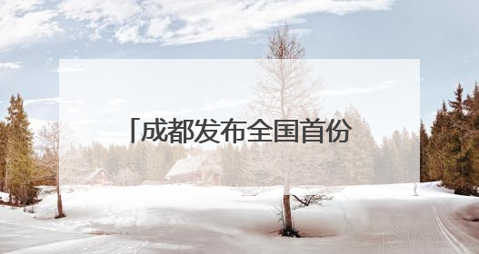 成都发布全国首份自动驾驶公交白皮书，无人公交12公里线路即将实测