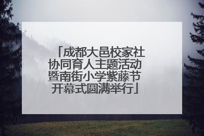 成都大邑校家社协同育人主题活动暨南街小学紫藤节开幕式圆满举行