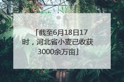 截至6月18日17时，河北省小麦已收获3000余万亩