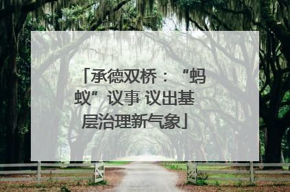 承德双桥：“蚂蚁”议事 议出基层治理新气象