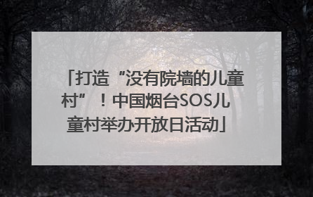 打造“没有院墙的儿童村”！中国烟台SOS儿童村举办开放日活动