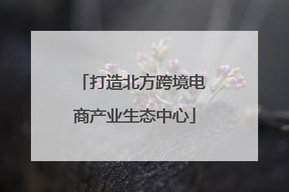 打造北方跨境电商产业生态中心