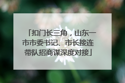 扣门长三角，山东一市市委书记、市长接连带队招商谋深度对接
