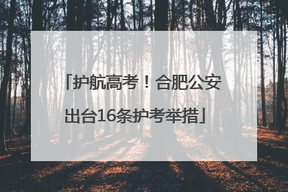 护航高考！合肥公安出台16条护考举措
