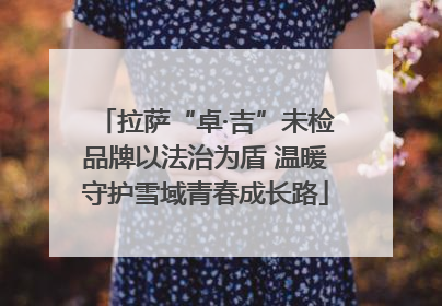 拉萨“卓·吉”未检品牌以法治为盾 温暖守护雪域青春成长路