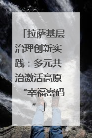 拉萨基层治理创新实践：多元共治激活高原“幸福密码”
