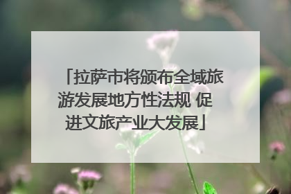 拉萨市将颁布全域旅游发展地方性法规 促进文旅产业大发展