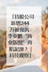 持股公司新增244万被强执 李亚鹏“商业版图”再陷泥潭？｜科技观察