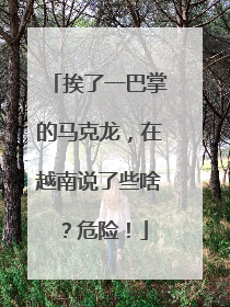 挨了一巴掌的马克龙，在越南说了些啥？危险！