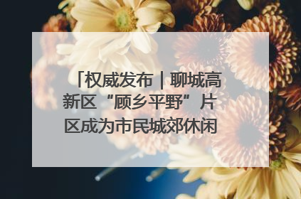权威发布｜聊城高新区“顾乡平野”片区成为市民城郊休闲全新目的地
