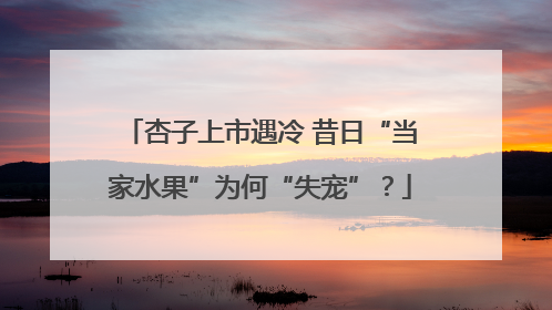 杏子上市遇冷 昔日“当家水果”为何“失宠”？
