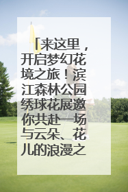 来这里，开启梦幻花境之旅！滨江森林公园绣球花展邀你共赴一场与云朵、花儿的浪漫之约