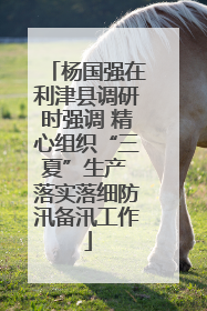 杨国强在利津县调研时强调 精心组织“三夏”生产 落实落细防汛备汛工作