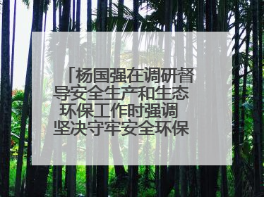 杨国强在调研督导安全生产和生态环保工作时强调 坚决守牢安全环保底线红线 为全市经济社会高质量发展提供坚强保障