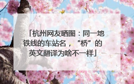 杭州网友晒图：同一地铁线的车站名，“桥”的英文翻译为啥不一样