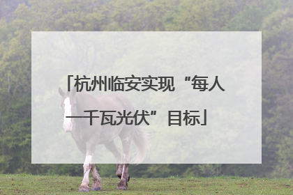 杭州临安实现“每人一千瓦光伏”目标