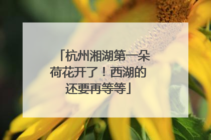 杭州湘湖第一朵荷花开了！西湖的还要再等等