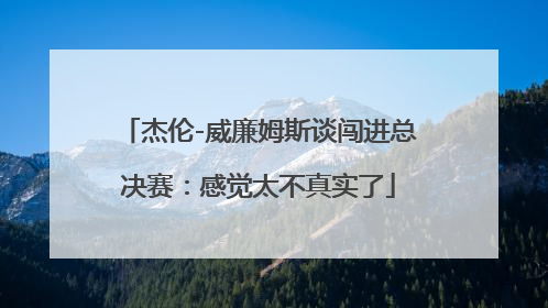 杰伦-威廉姆斯谈闯进总决赛：感觉太不真实了