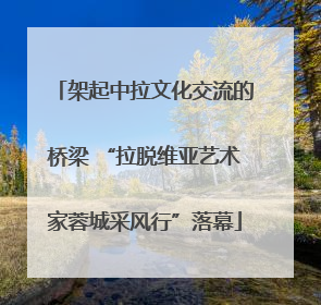架起中拉文化交流的桥梁 “拉脱维亚艺术家蓉城采风行”落幕