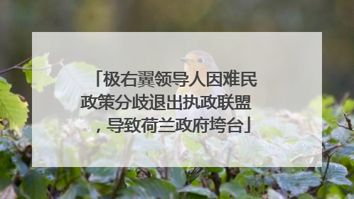 极右翼领导人因难民政策分歧退出执政联盟，导致荷兰政府垮台