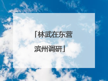 林武在东营滨州调研