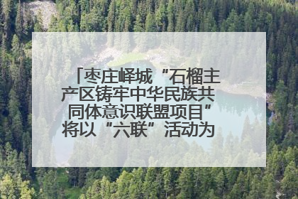 枣庄峄城“石榴主产区铸牢中华民族共同体意识联盟项目”将以“六联”活动为抓手深化品牌建设
