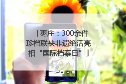 枣庄：300余件珍档联袂非遗绝活亮相“国际档案日”