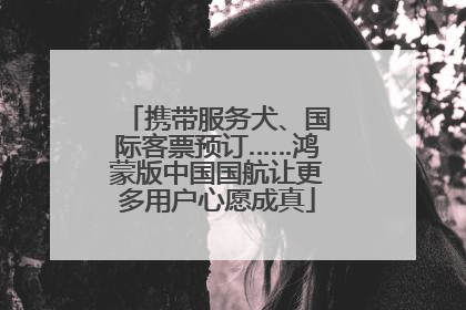 携带服务犬、国际客票预订……鸿蒙版中国国航让更多用户心愿成真