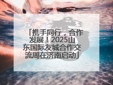 携手同行，合作发展！2025山东国际友城合作交流周在济南启动