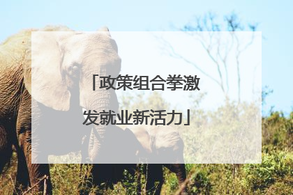政策组合拳激发就业新活力