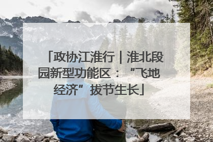 政协江淮行｜淮北段园新型功能区：“飞地经济”拔节生长
