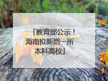 教育部公示！海南拟新增一所本科高校
