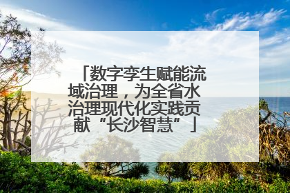 数字孪生赋能流域治理，为全省水治理现代化实践贡献“长沙智慧”