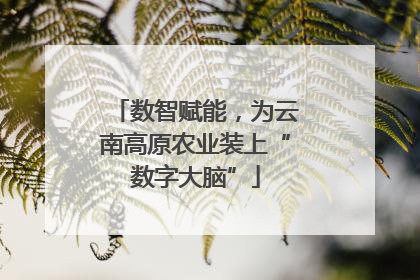 数智赋能，为云南高原农业装上“数字大脑”