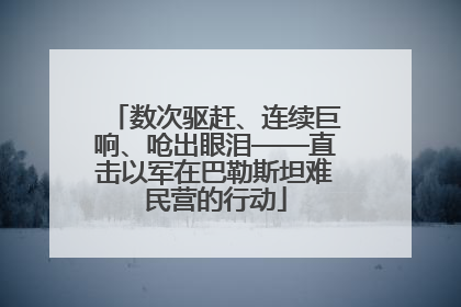 数次驱赶、连续巨响、呛出眼泪——直击以军在巴勒斯坦难民营的行动
