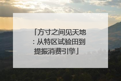 方寸之间见天地：从特区试验田到提振消费引擎