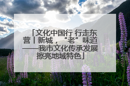 文化中国行 行走东营丨新城，“老”味道——我市文化传承发展擦亮地域特色