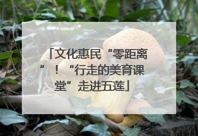 文化惠民“零距离”！“行走的美育课堂”走进五莲