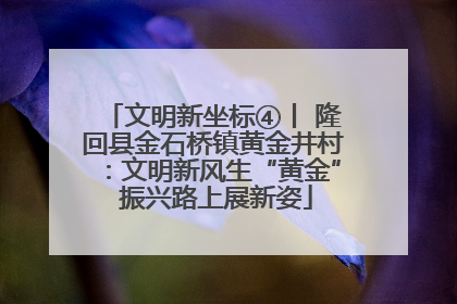 文明新坐标④丨 隆回县金石桥镇黄金井村：文明新风生“黄金” 振兴路上展新姿