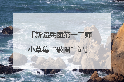 新疆兵团第十二师小草莓“破圈”记