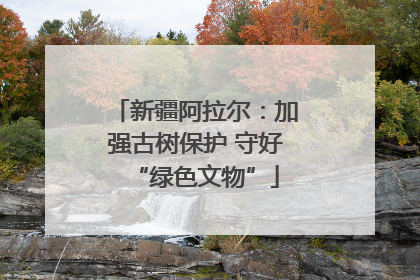 新疆阿拉尔：加强古树保护 守好“绿色文物”