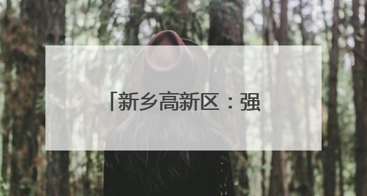 新乡高新区：强化征纳互动服务基础推动实现办税服务转型升级