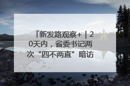 新发路观察+｜20天内，省委书记两次“四不两直”暗访，有何深意？