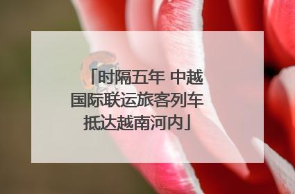 时隔五年 中越国际联运旅客列车抵达越南河内