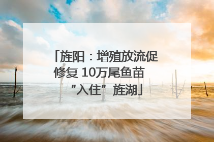 旌阳：增殖放流促修复 10万尾鱼苗“入住”旌湖