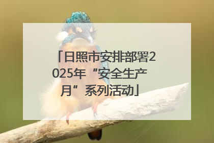 日照市安排部署2025年“安全生产月”系列活动