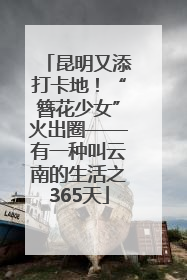昆明又添打卡地！“簪花少女”火出圈——有一种叫云南的生活之365天