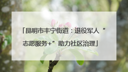 昆明市丰宁街道：退役军人“志愿服务+”助力社区治理