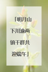 明月山下川渝两镇干群共迎端午